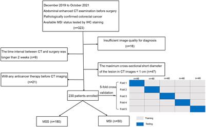 Radiomics features based on internal and marginal areas of the tumor for the preoperative prediction of microsatellite instability status in colorectal cancer